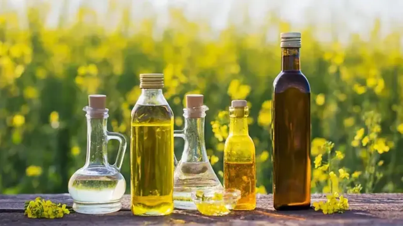 Canola Oil vs Olive Oil