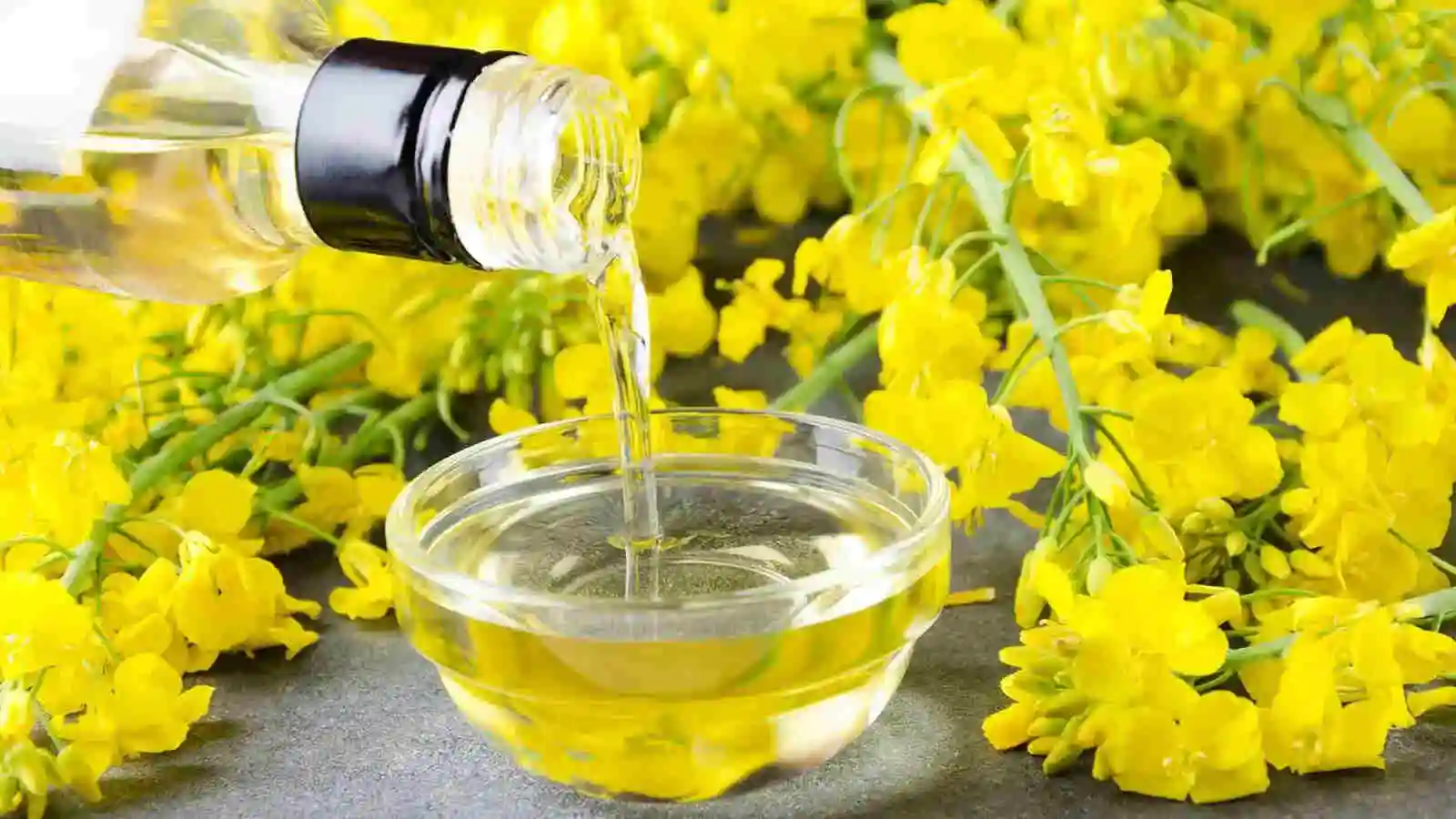 Why Is Canola Oil Banned In Europe? Is It Healthier Than Olive Oil?