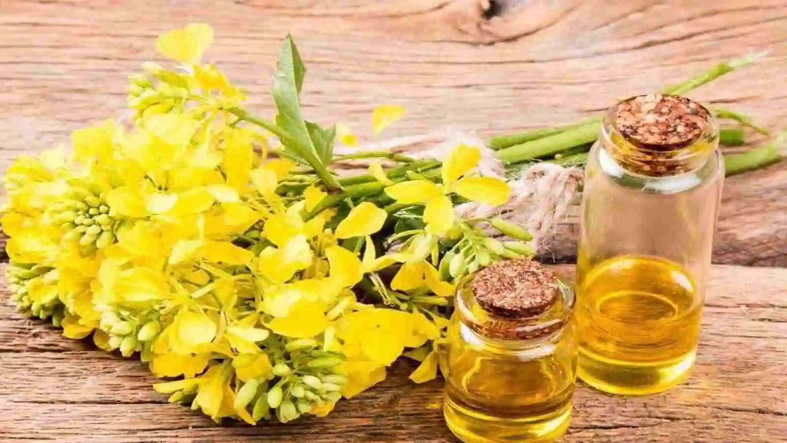 Canola Oil